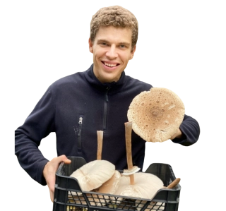 Un homme qui tient des champignons dans ses mains